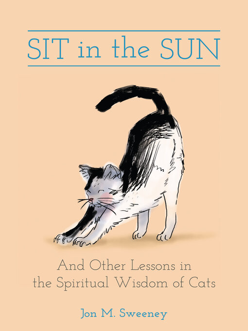 Title details for Sit in the Sun by Jon  M. Sweeney - Available
